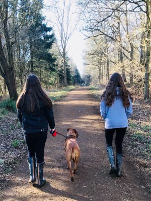 WhatsApp Image 2018-11-20 at 14.38.57(1)