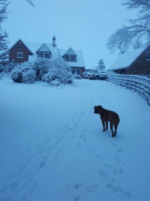 WhatsApp Image 2018-11-20 at 14.41.08(2)